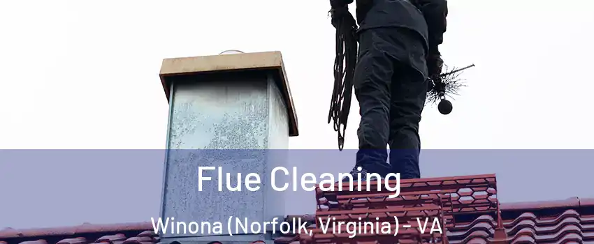 Flue Cleaning Winona (Norfolk, Virginia) - VA