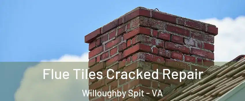 Flue Tiles Cracked Repair Willoughby Spit - VA