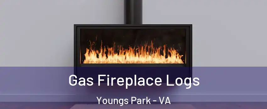 Gas Fireplace Logs Youngs Park - VA