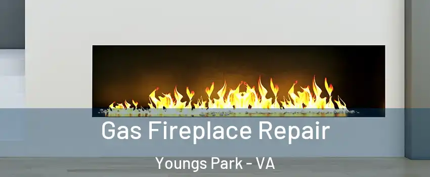 Gas Fireplace Repair Youngs Park - VA