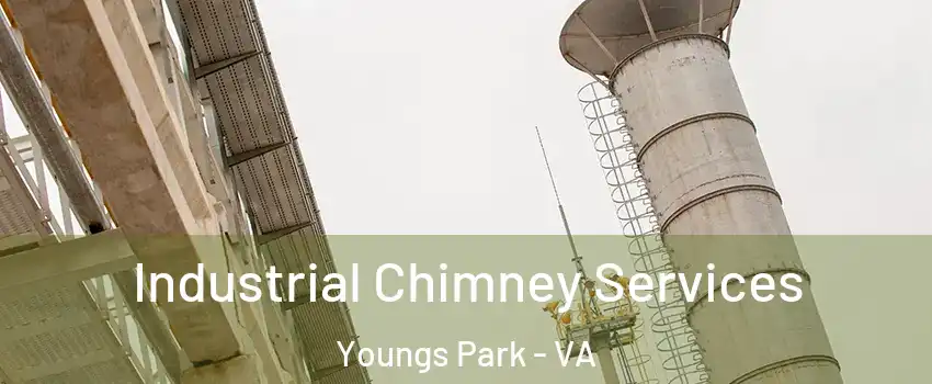 Industrial Chimney Services Youngs Park - VA