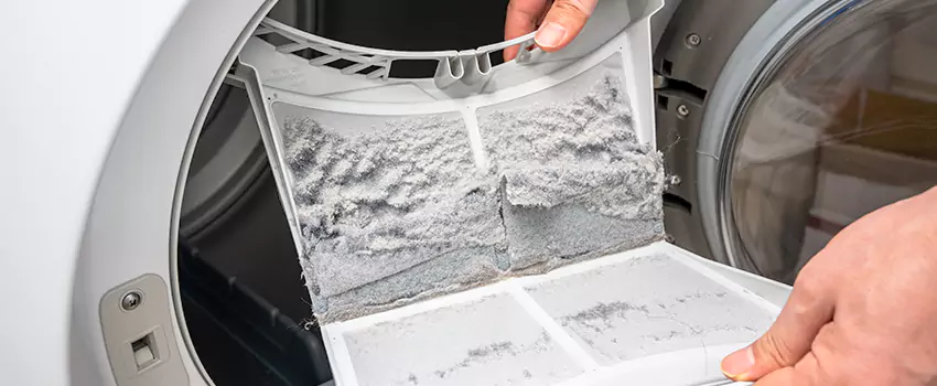 Best Dryer Lint Removal Company in Naval Station Norfolk, Virginia