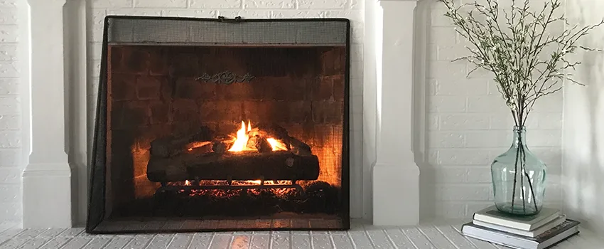 Cost-Effective Fireplace Mantel Inspection And Maintenance in Chesterfield Heights Historic District, VA