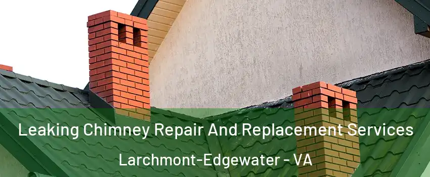 Leaking Chimney Repair And Replacement Services Larchmont-Edgewater - VA