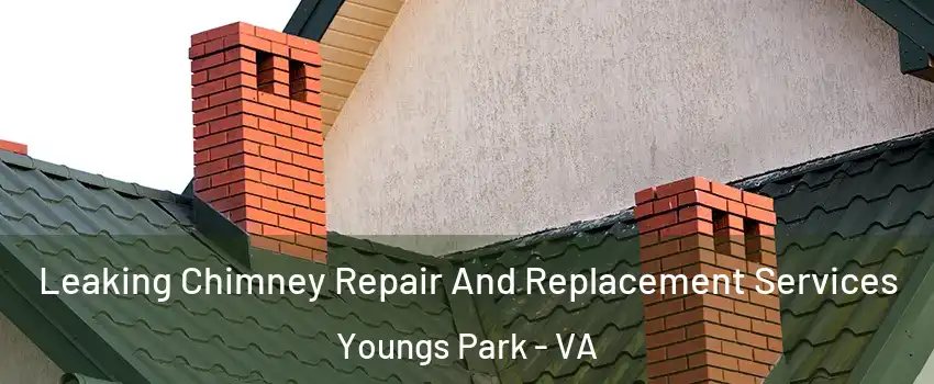 Leaking Chimney Repair And Replacement Services Youngs Park - VA