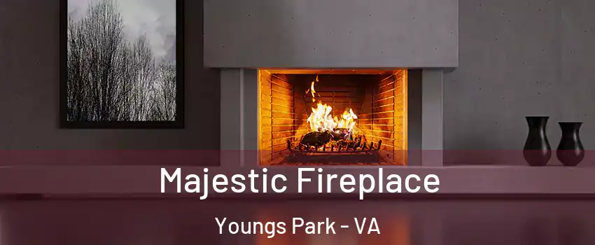 Majestic Fireplace Youngs Park - VA