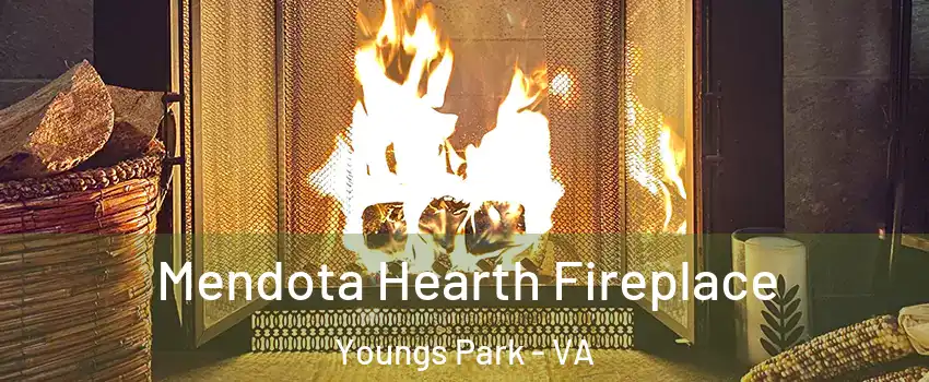 Mendota Hearth Fireplace Youngs Park - VA