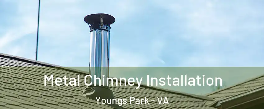 Metal Chimney Installation Youngs Park - VA