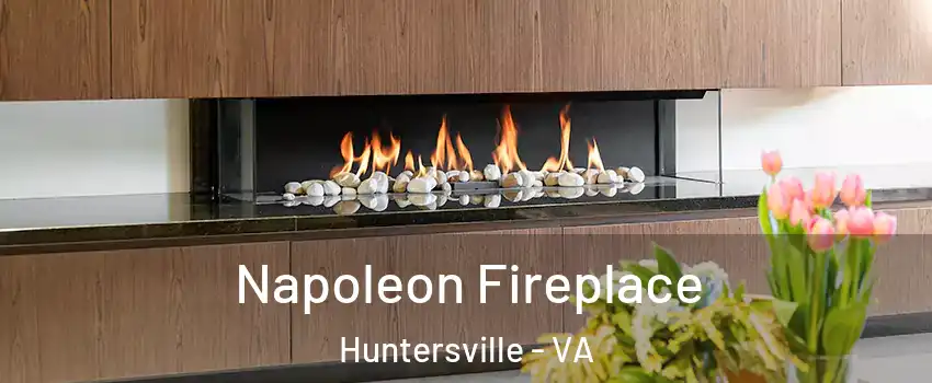 Napoleon Fireplace Huntersville - VA