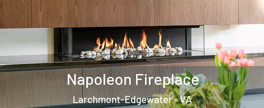 Napoleon Fireplace Larchmont-Edgewater - VA