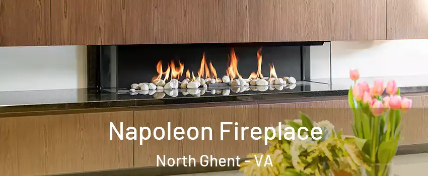 Napoleon Fireplace North Ghent - VA