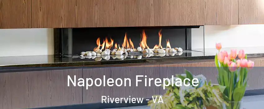 Napoleon Fireplace Riverview - VA