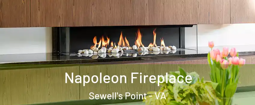 Napoleon Fireplace Sewell's Point - VA