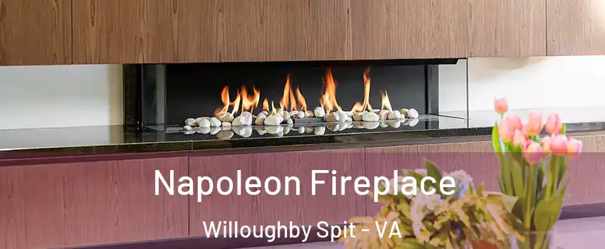 Napoleon Fireplace Willoughby Spit - VA