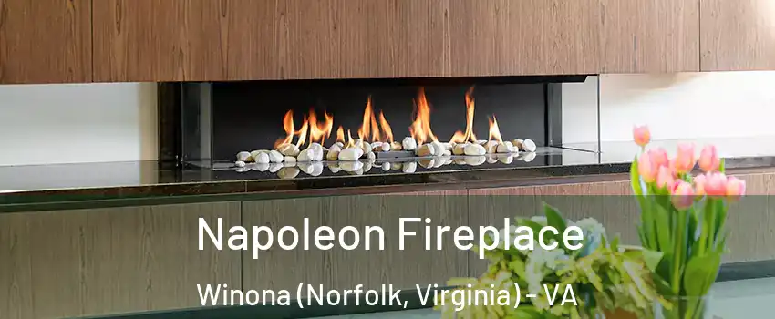 Napoleon Fireplace Winona (Norfolk, Virginia) - VA