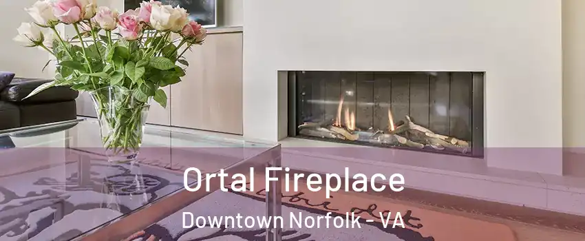 Ortal Fireplace Downtown Norfolk - VA