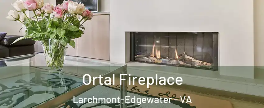 Ortal Fireplace Larchmont-Edgewater - VA