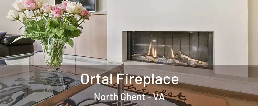 Ortal Fireplace North Ghent - VA