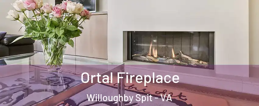 Ortal Fireplace Willoughby Spit - VA