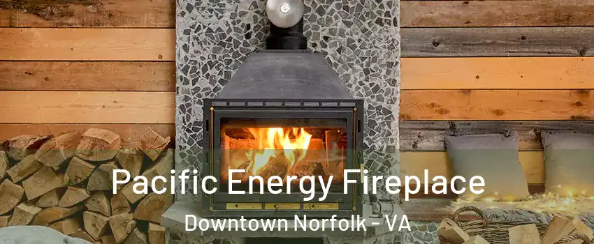 Pacific Energy Fireplace Downtown Norfolk - VA