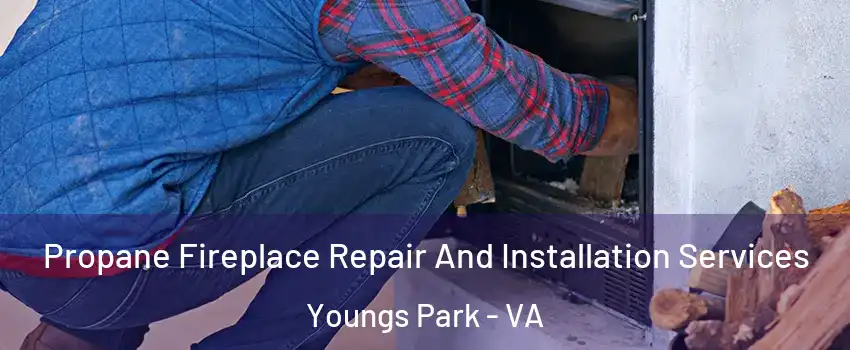 Propane Fireplace Repair And Installation Services Youngs Park - VA